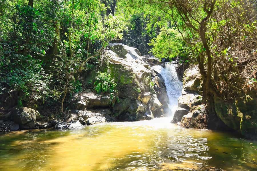 Santa Marta: Minca Coffee, Cocoa, & Waterfall Full-Day Trip - The guide can make or break the experience