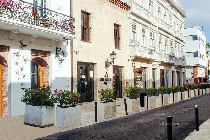 Santo Domingo Small Group Walking Tour: Beer and Specialty Coffee - Ruins that reveal the harder side of colonial Santo Domingo