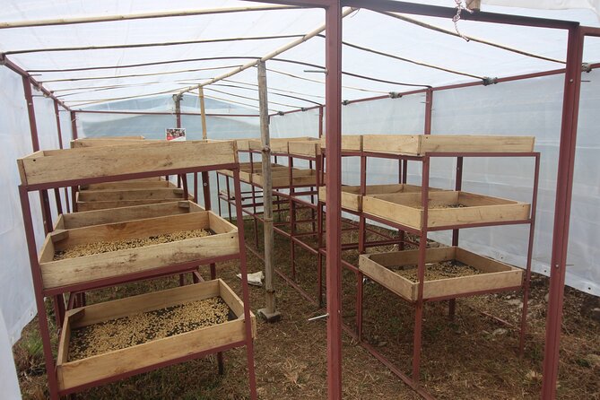 Sarangkot Village Coffee Culture and Authentic Local Life Tour - Starting at Saleways and walking along Phewa Lake