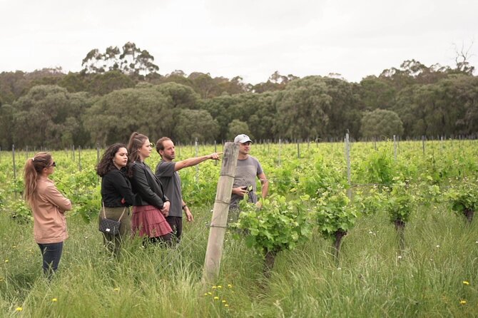 Secret Delights: Curated Wine, Coffee & Forest Experience - Brown Hill Estate brings the family touch