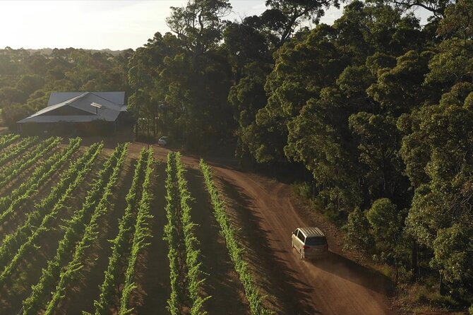 Secret Delights: Curated Wine, Coffee & Forest Experience - Berry Farm adds lunch and local produce