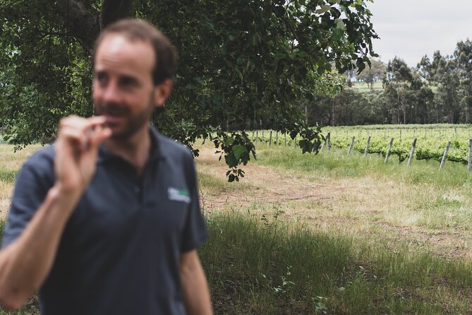 Secret Delights: Curated Wine, Coffee & Forest Experience - The guides shape the day
