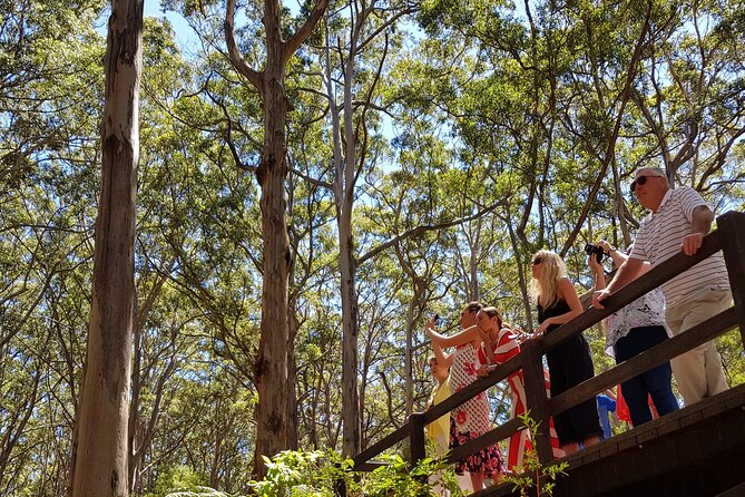 Secret Delights: Curated Wine, Coffee & Forest Experience - Is the $121.93 price good value?