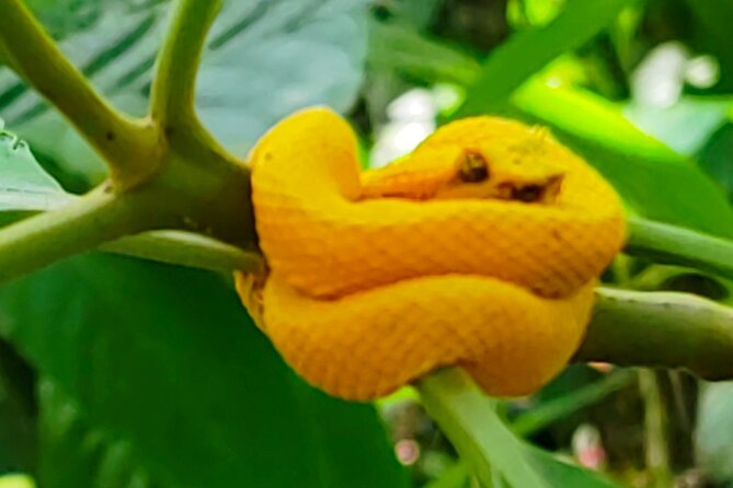 Sloths in the Rain Forest and Safari by the River - The stop at El Jardín Liberia