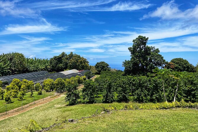 Small-Group Big Island Tour: Hawaii Volcanoes National Park and Kona Coffee Farm - The lava tube is the day’s most memorable walk