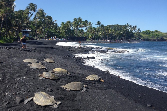 Small-Group Big Island Tour: Hawaii Volcanoes National Park and Kona Coffee Farm - The long southern route and Punaluʻu Beach