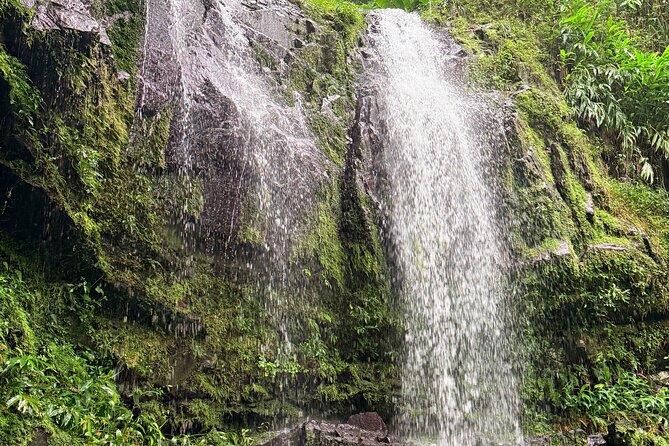 Sueños de Cafe - A Coffee Lovers Dream - Who should book this Jayuya outing?