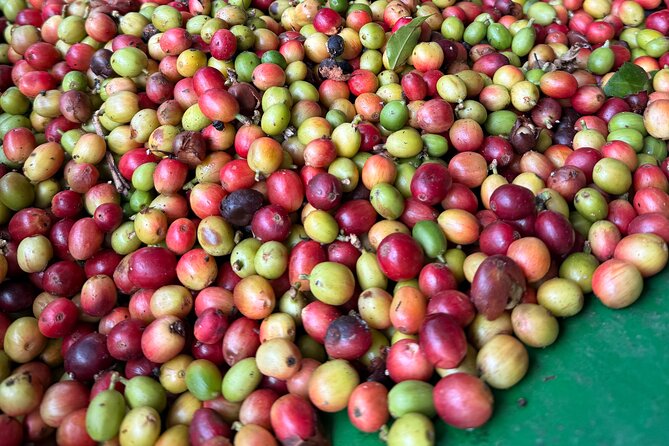 Sueños de Cafe - A Coffee Lovers Dream - The Cordillera Central drive takes you inland