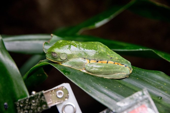 Super Combo Tour: Waterfalls Gardens + Coffee Tour + Poás Volcano - Key points to know before booking