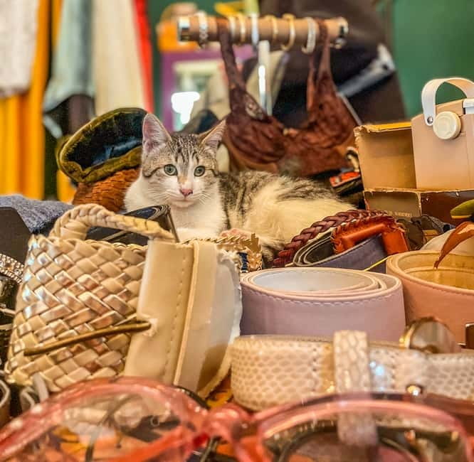 Tbilisi: Vintage Stores and Cafes Walking Tour with Coffee - Coffee, chocolate, and the practical rhythm of the walk