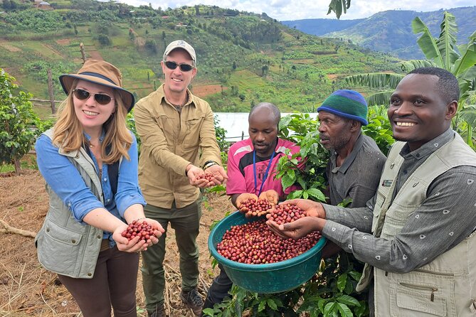 Tea and coffee tours - Coffee country beside Lake Kivu