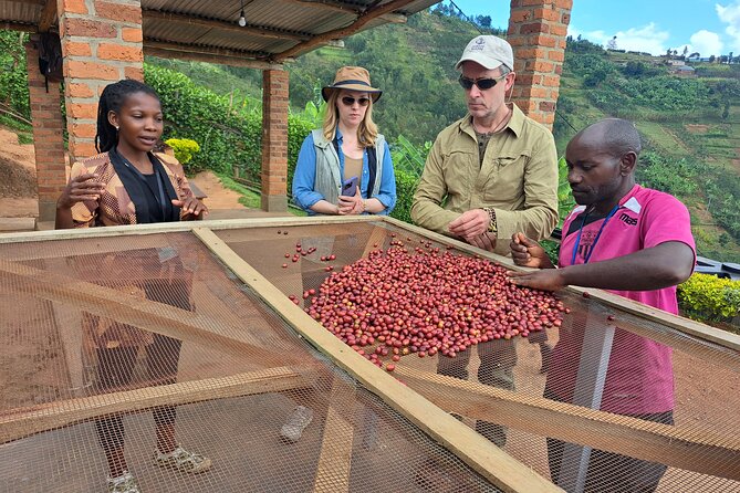Tea and coffee tours - What the tea visit adds