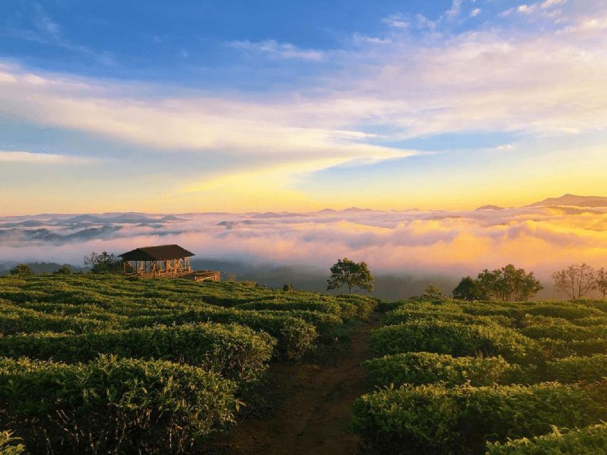 Tea & Coffee Tour - Key points at a glance