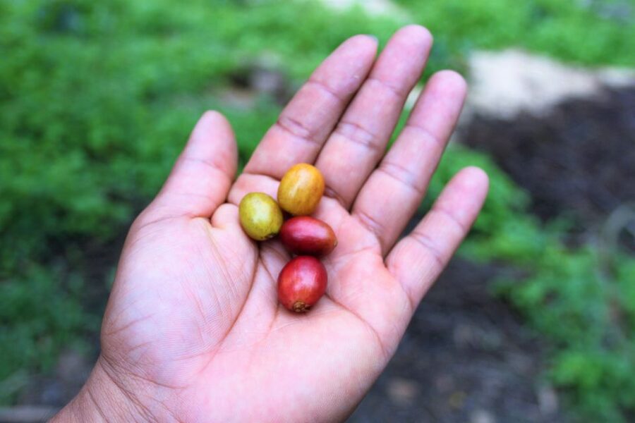 Tequendama Falls and Coffee Hacienda Day Trip from Bogotá - The El Salto hotel and the story behind the gorge