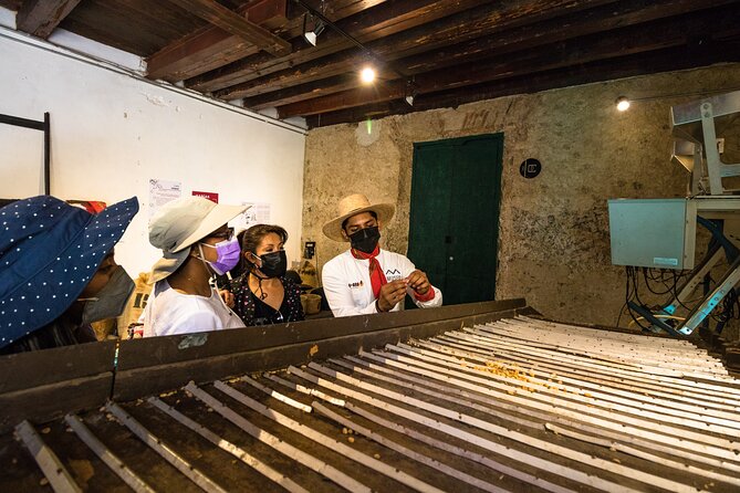 The Colors of Coffee in the Farms of Coatepec - What the coffee tasting adds to the day