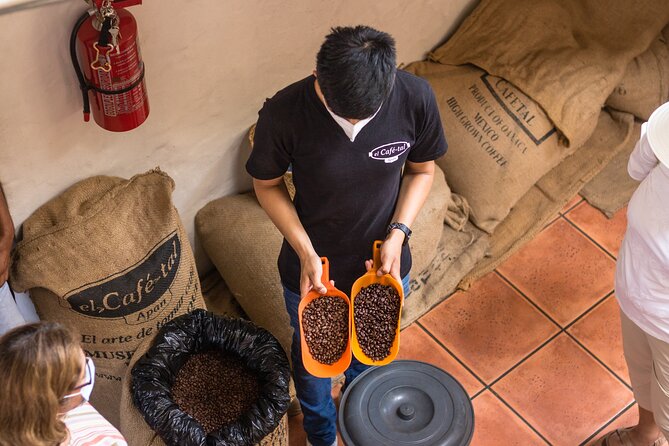 The Colors of Coffee in the Farms of Coatepec - Following coffee at Finca Roma Bola de Oro