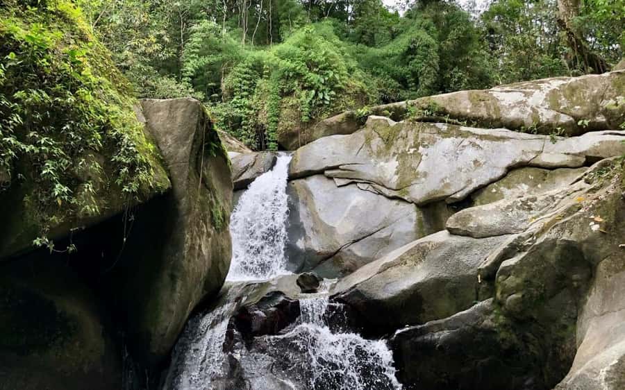 Trekking History and Indigenous Heritage in Minca + Cacao & Coffee + Waterfall - At Cabanas Bosque Cacao
