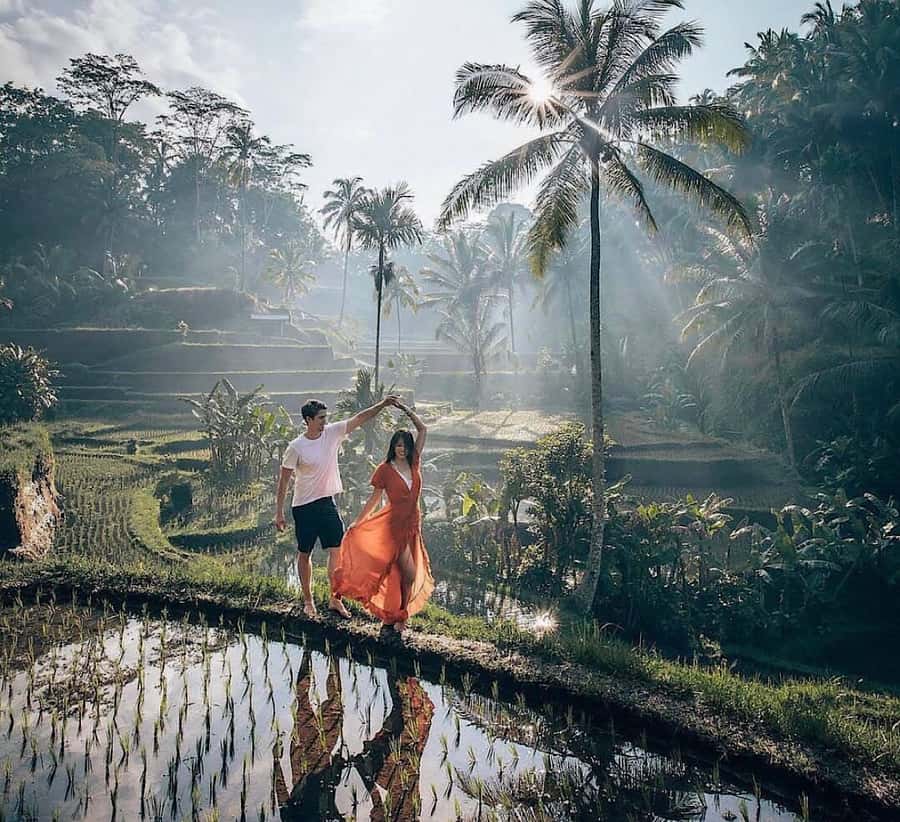 Ubud: Waterfall, Holy Water Temple,Swing&coffee plantation - Five useful things to know before you book