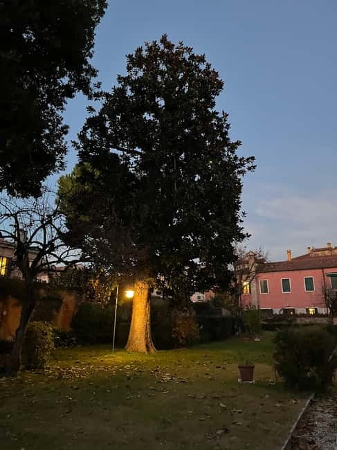 Venice: Sunrise Walking Tour with Espresso - Key points at a glance