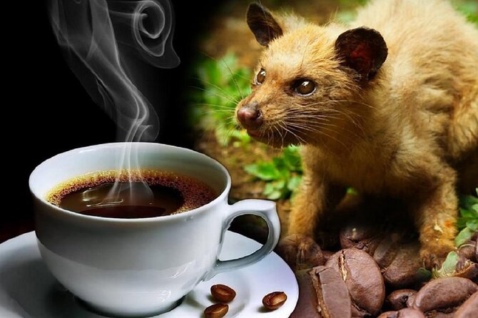 Vietnamese Culture and Coffee Making Class - What you take home