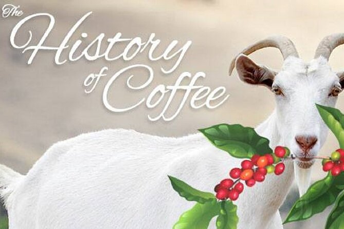 Vietnamese Culture and Coffee Making Class - Value at $15.39 per person