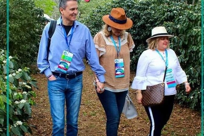 Visit to Coffee Farm with Tasting in Coatepec - Seeing coffee at the seedbed