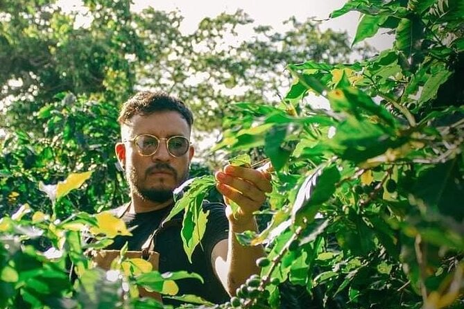 Visit to Coffee Farm with Tasting in Coatepec - Walking the coffee farm trails