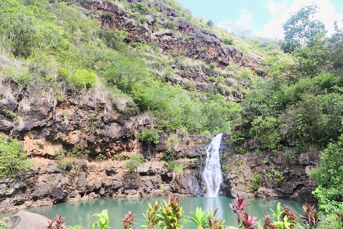 Waimea Valley Waterfall Swim & Dole Plantation Tour with Lunch - Lunch in the valley after the swim
