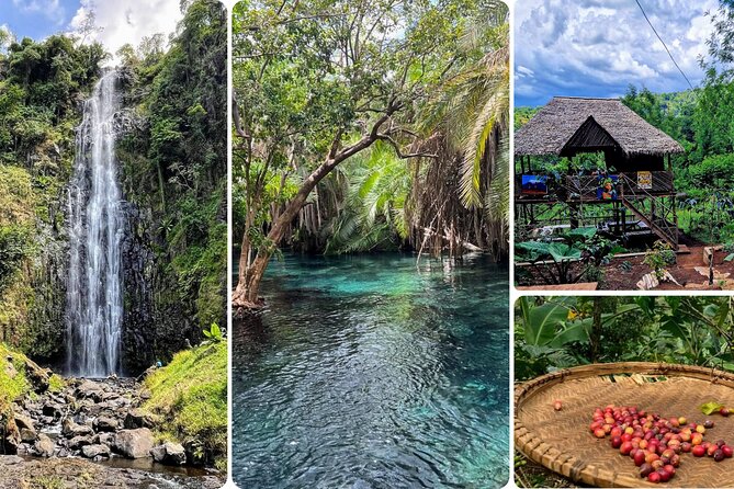 Waterfall, coffee tour & hot springs - lunch and drinks included - What makes this day worth considering