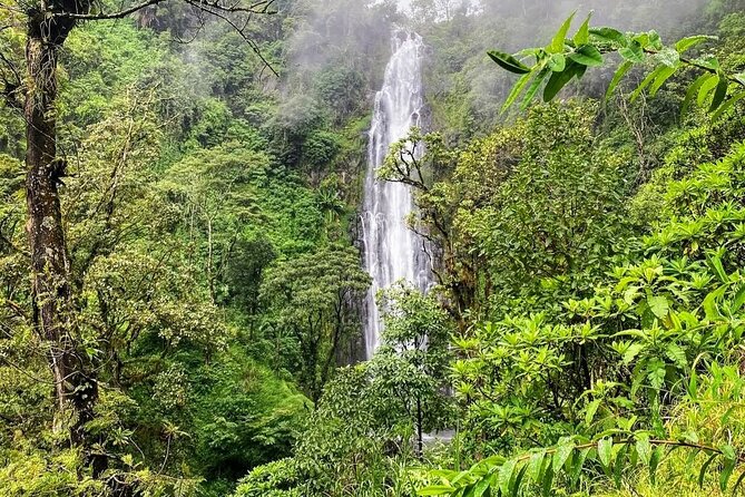 Waterfall, coffee tour & hot springs - lunch and drinks included - Cooling off at Kikuletwa Hot Springs