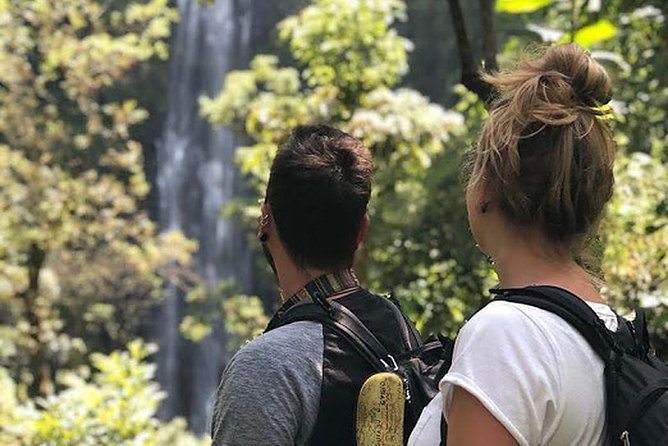 Waterfall & Coffee Walking Tour - A full day near Kilimanjaro, not just a waterfall stop