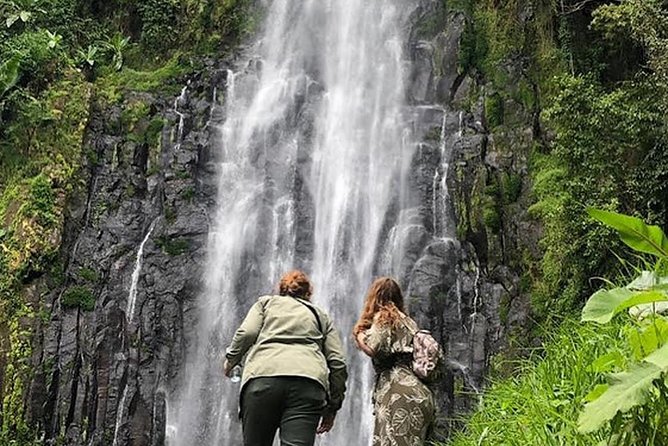 Waterfall & Coffee Walking Tour - Coffee farming after the hike