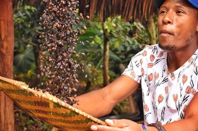 Waterfalls, Coffee, Hotsprings, Food Cuisine, & Serval Wildlife - Key points before you book
