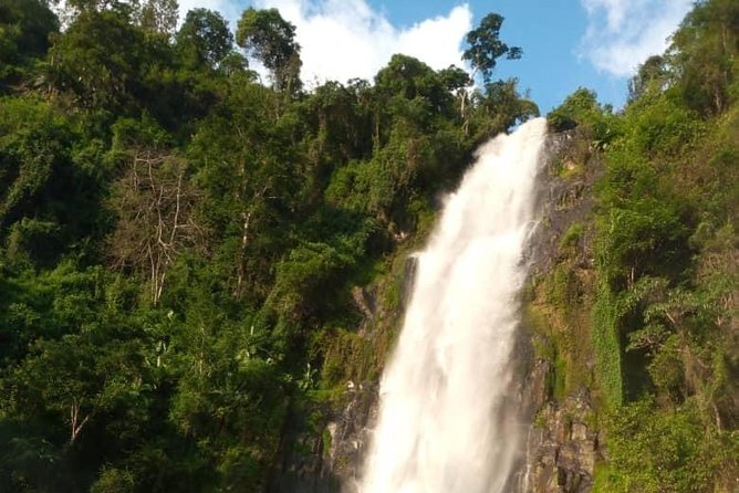 Waterfalls, Coffee, Hotsprings, Food Cuisine, & Serval Wildlife - Why this day works beyond the safari parks