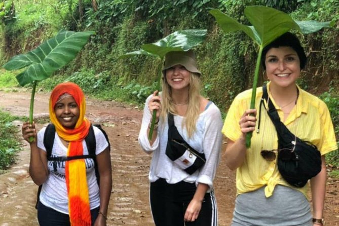 Waterfalls, Coffee, Hotsprings, Food Cuisine, & Serval Wildlife - How the $350 price measures up