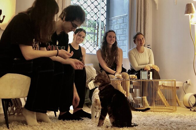 Whiskers & Coffee: Relax and Play with Adorable Cats - Meeting the cats on their own terms