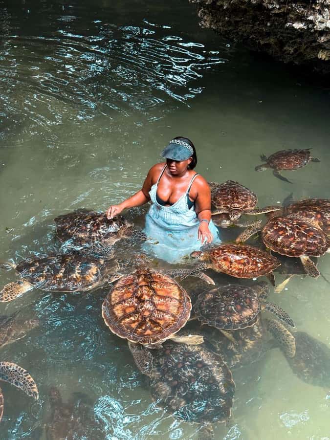 ZANZIBAR: Sea Turtle Swimming & Feeding Experience in NUNGWI - Why an early morning start makes sense