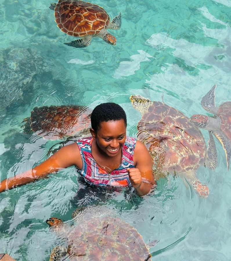 ZANZIBAR: Sea Turtle Swimming & Feeding Experience in NUNGWI - Swimming with the turtles