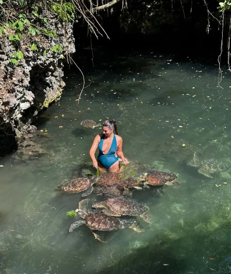 ZANZIBAR: Sea Turtle Swimming & Feeding Experience in NUNGWI - Feeding the turtles seaweed