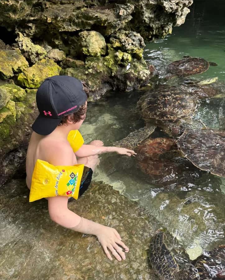 ZANZIBAR: Sea Turtle Swimming & Feeding Experience in NUNGWI - The conservation side of the visit
