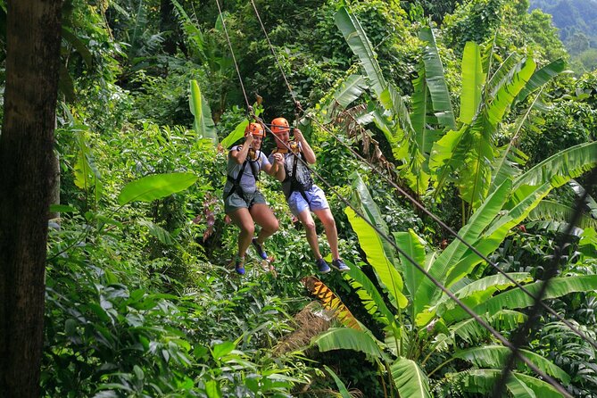 Zipline & Coffee with Waterfall Views in Koh Samui - Eight Lines Through the Koh Samui Canopy
